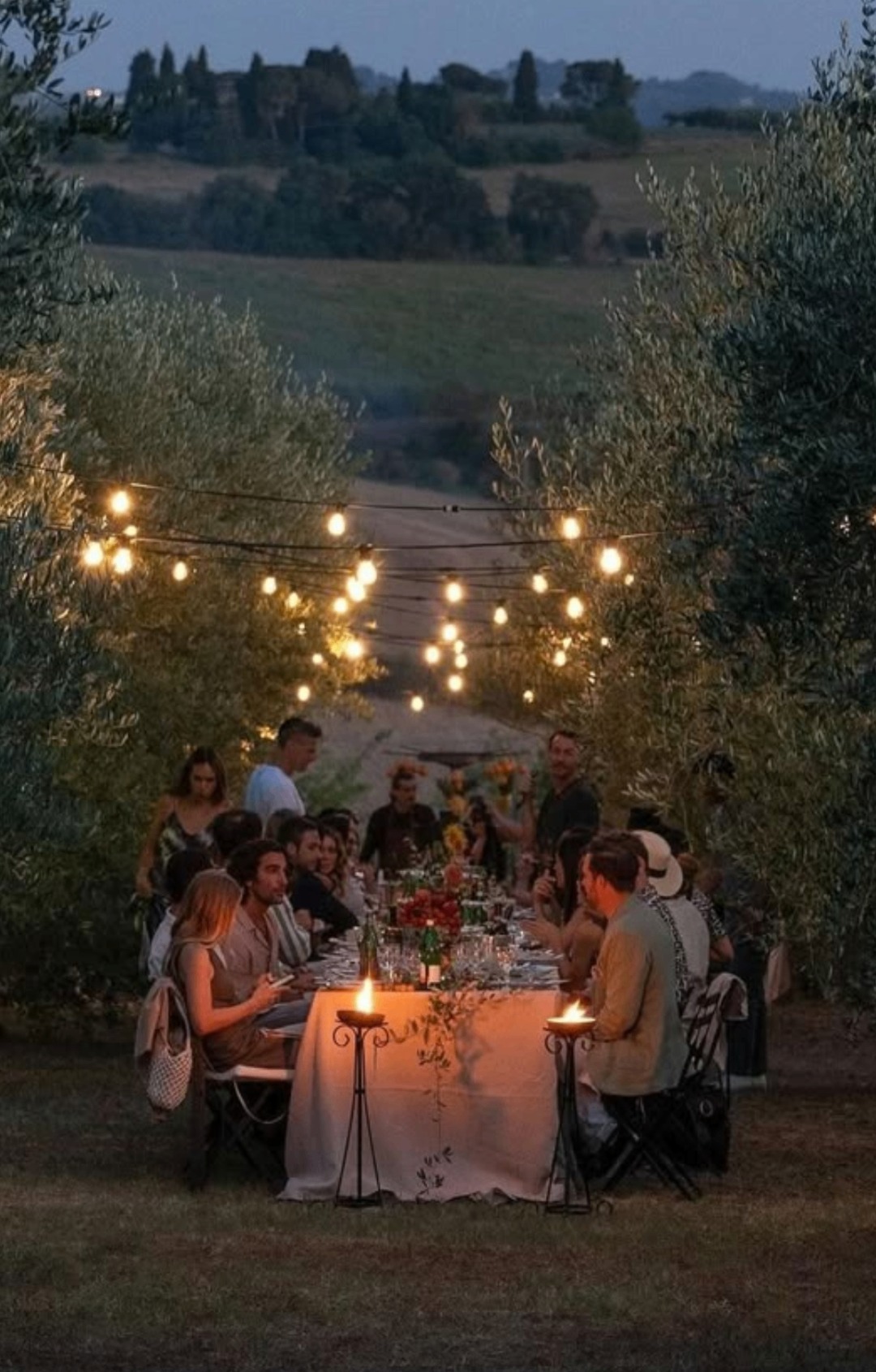 Wine Country Harvest